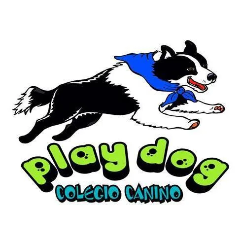 Play Dog Colegio Canino