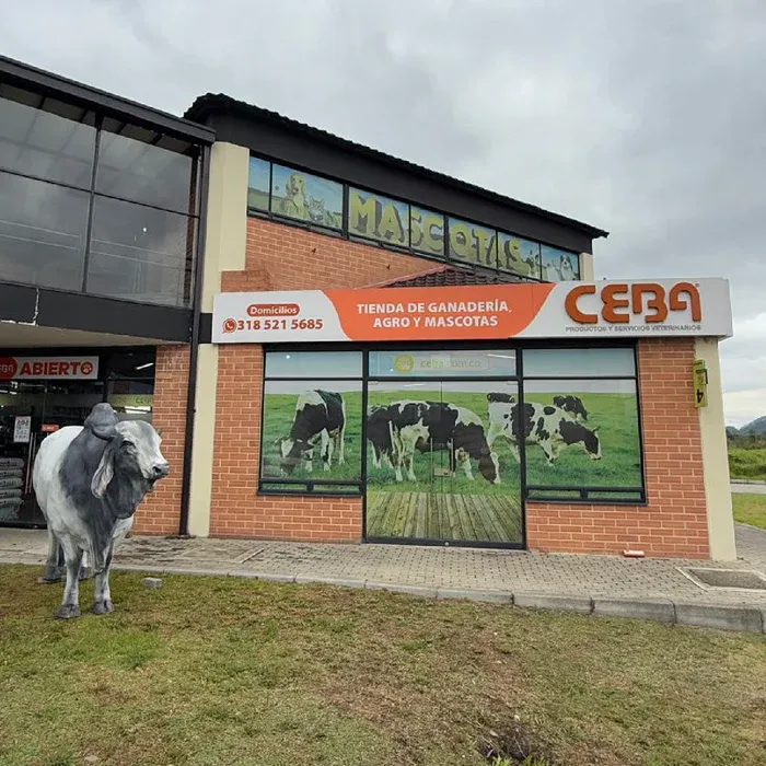 Ceba Cota